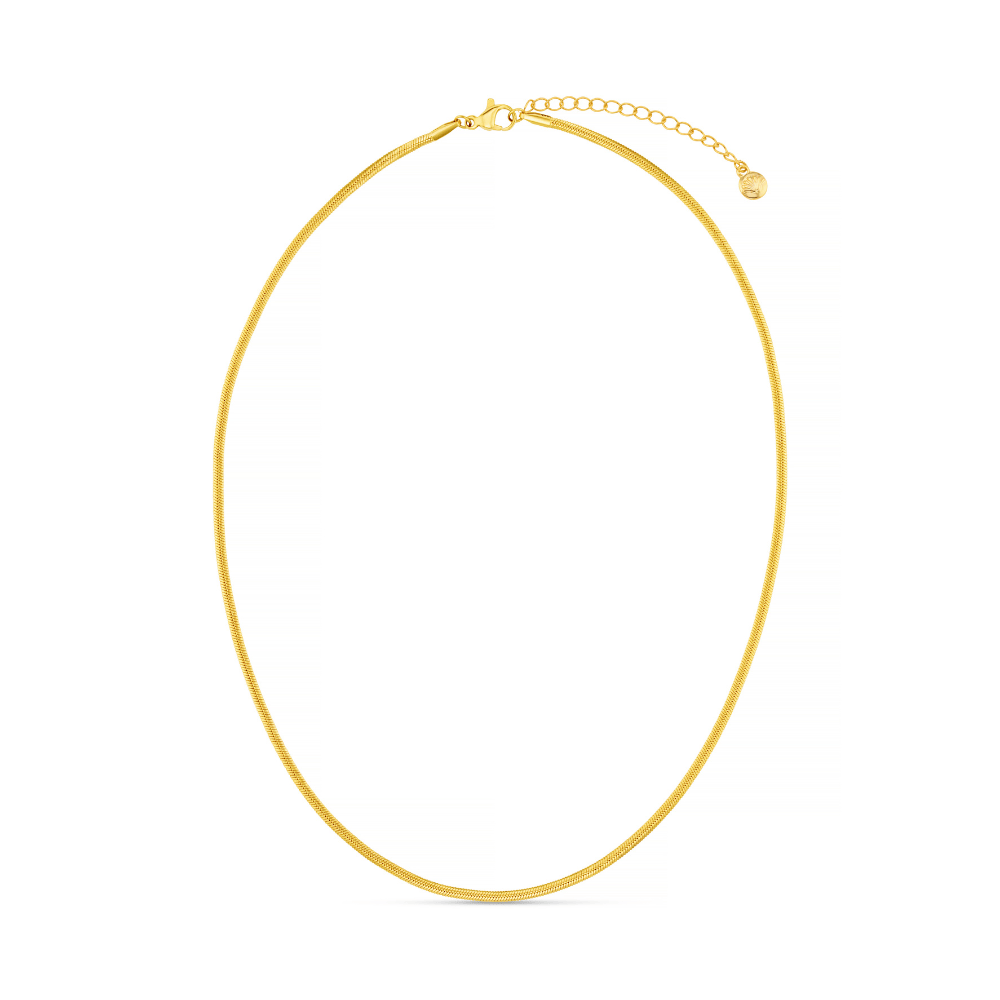 Orelia London LUXE Flat Snake Chain Necklace - Gold