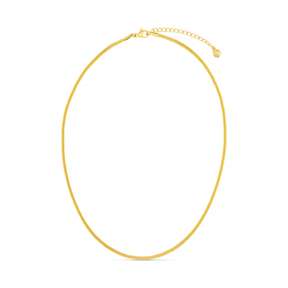 Orelia London LUXE Flat Snake Chain Necklace - Gold