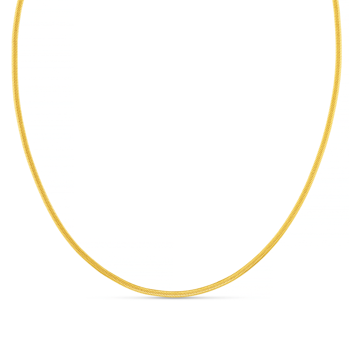 Orelia London LUXE Flat Snake Chain Necklace - Gold