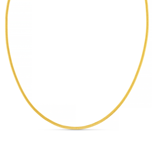 Orelia London LUXE Flat Snake Chain Necklace - Gold