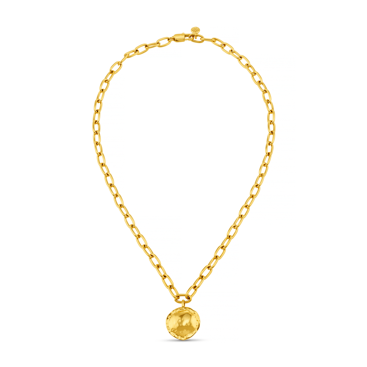 LUXE Oval Link & Molten Coin Necklace